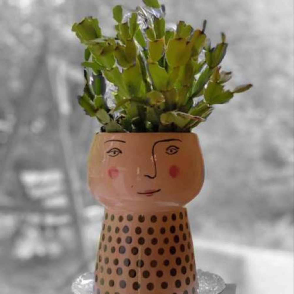 Opalhouse Stoneware Family Planter Pot - Picture 12 of 16